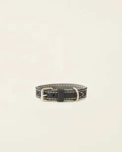 Extra Small Leather Dog Collar