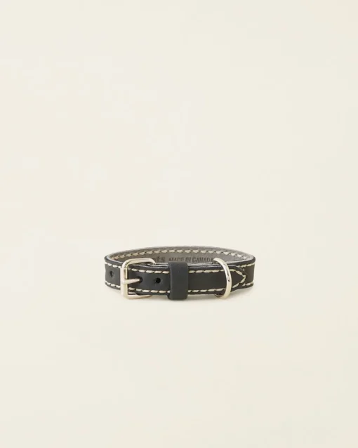 Extra Small Leather Dog Collar