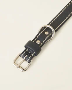 Extra Small Leather Dog Collar