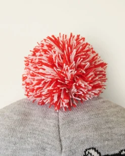 Hockey Toque