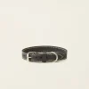 Medium Leather Dog Collar