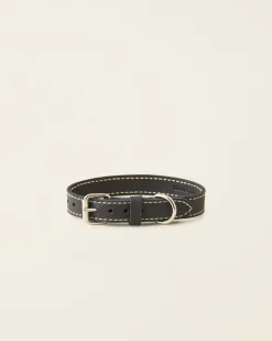 Medium Leather Dog Collar