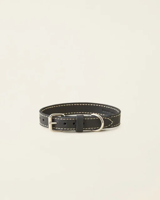 Medium Leather Dog Collar