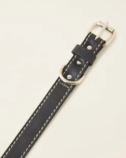 Medium Leather Dog Collar