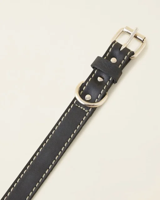 Medium Leather Dog Collar