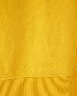 One Hoodie