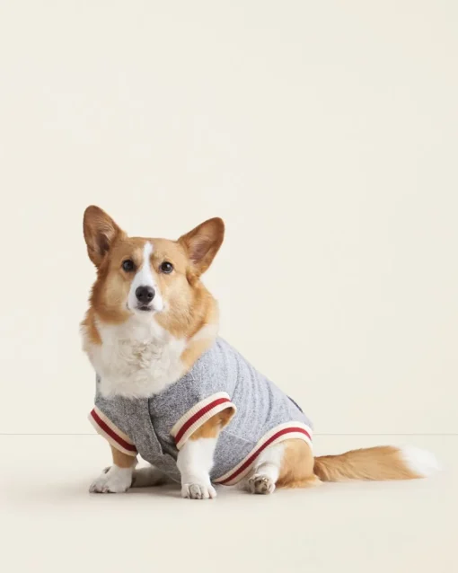 Pooch Cabin Kanga Size 16-20