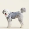 Pooch Original Kanga Size 24