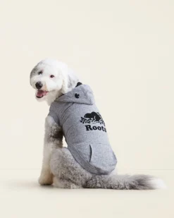 Pooch Original Kanga Size 24