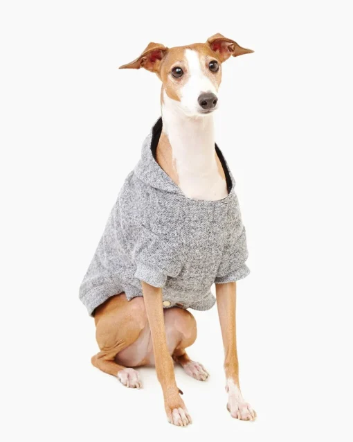 Pooch Salt And Pepper Hoody Size 14