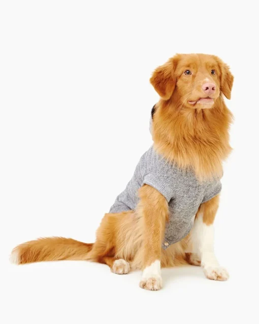 Pooch Salt And Pepper Hoody Size 20