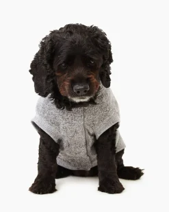Pooch Salt And Pepper Hoody Size 18