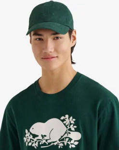 Roots Baseball Cap