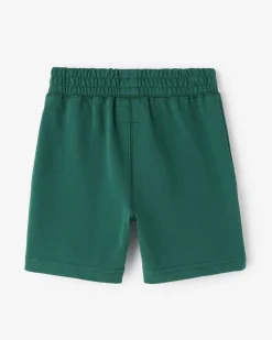 Toddler Boys Park Short