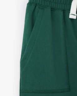 Toddler Boys Park Short