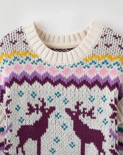 Toddler Girls Fair Isle Sweater Dress
